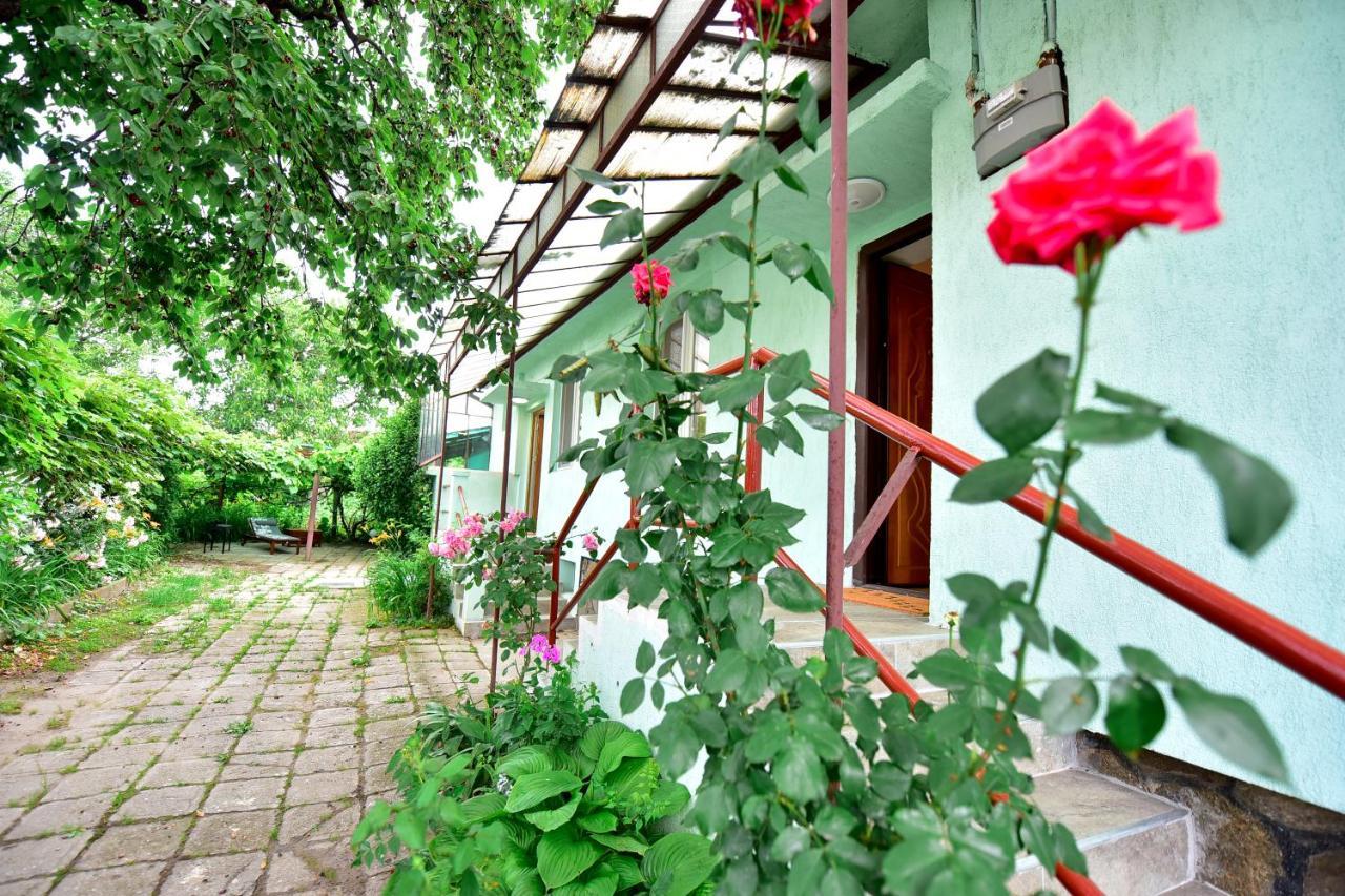 Villa FLH - House Angelique à Sibiu Extérieur photo